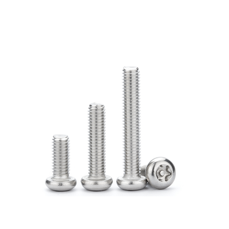Anti-Theft Torx Pin Screw Made of SS304 Steel for Maximum Protection and Customized
