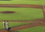 Green Baseball Artificial Turf , Synthetic Turf Baseball Fields