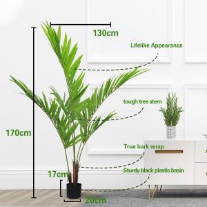 Quality SGS Natural Artificial Potted Floor Plants Kenita Palm Tree wholesale