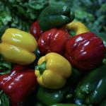 Commercial Aquaponics Greenhouse for Sunlight Sparay Irrigation Vegetable
