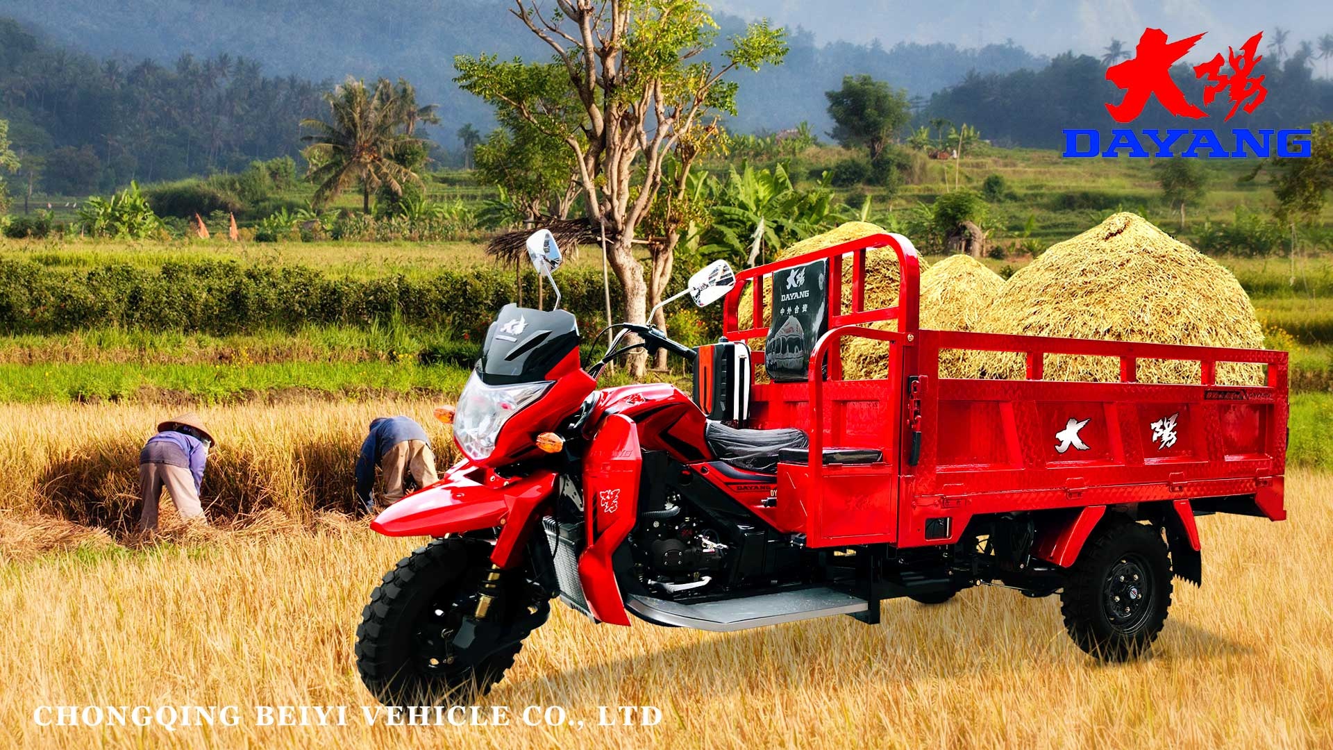 200cc 3 Wheel Cargo Motorcycle with Maximum Speed ≥70Km/h and 800KG Loading Capacity