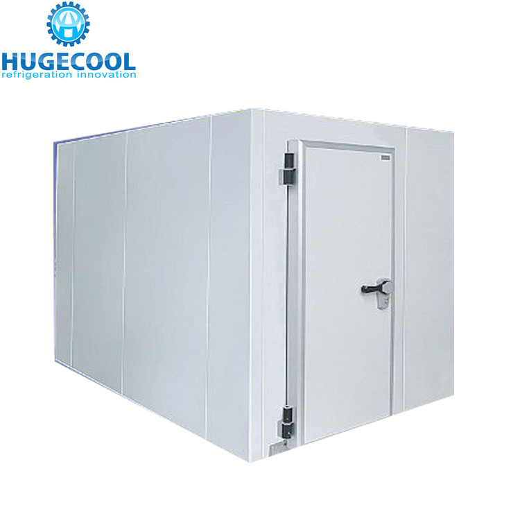 Fresh Keeping CFC-Free PU Panel Cold Room