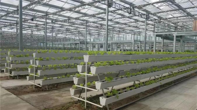 Large Size Transparent Glass Greenhouse Super Strong Resistance and Hydroponics System