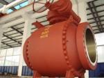 Trunnion Mounted Ball Valves