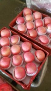 Quality Round Farm Fresh Apples wholesale