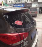 Black Plastic Car Aerial Decorations Fit Uinversal Car , Car Radio Aerial