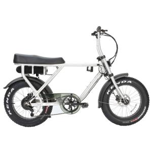 Quality Disc Brake 48v1000w Electric Bicycle City Design Electric Fat Bike for Adults Battery15ah/20ah wholesale