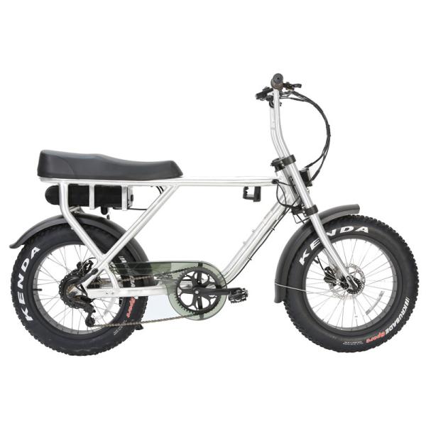 Disc Brake 48v1000w Electric Bicycle City Design Electric Fat Bike for Adults