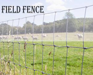 Quality Good Ventilation Field Wire Fence Easy Maintenance Short Installation Period wholesale