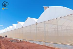 Quality Energy Efficient Tropical Multispan Greenhouse With Temperature And Humidity Regulation wholesale