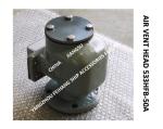 PONTOON TYPE OIL AND WATER TANK AIR PIPE HEAD MODEL：533HFB-50A THE ACTUAL