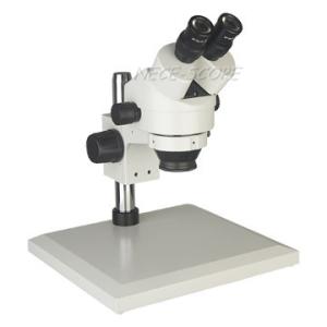 Quality Interpupillary Distance Trinocular Compound Microscope Binocular Inclined At 45° wholesale