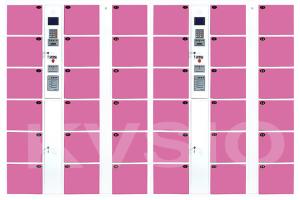 Quality Smart Coin Operated Parcel Delivery Lockers Unique Design Custom Logos Printing wholesale
