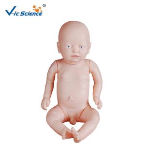 Quality Newborn Educational Medical Training Manikins Laerdal Medical Manikins wholesale