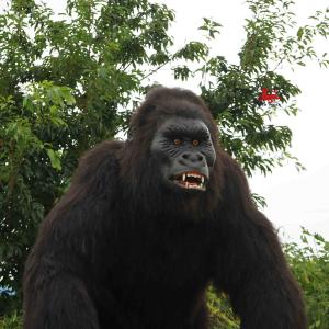 Quality Outdoor Realistic Animatronic Animals Gorilla Model Natural Color wholesale