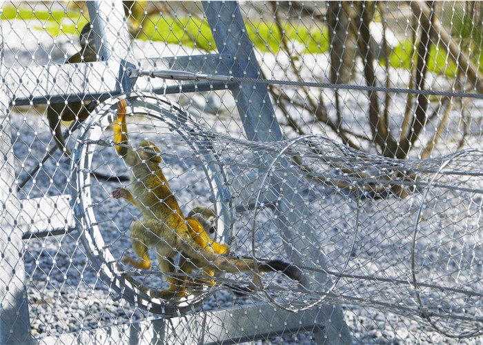 Diamond Animal Wire Mesh Stainless Steel With Polishing Surface Treatment