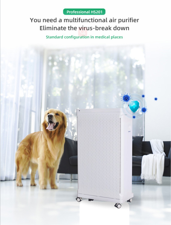 Eliminates Odors Pollutants Anion Air Purifier For Large Room 5500 Sq Ft Plasma Generator