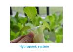 Home Grow Indoor Plant Hydroponic Grow System With 72 Holes Countryside Style
