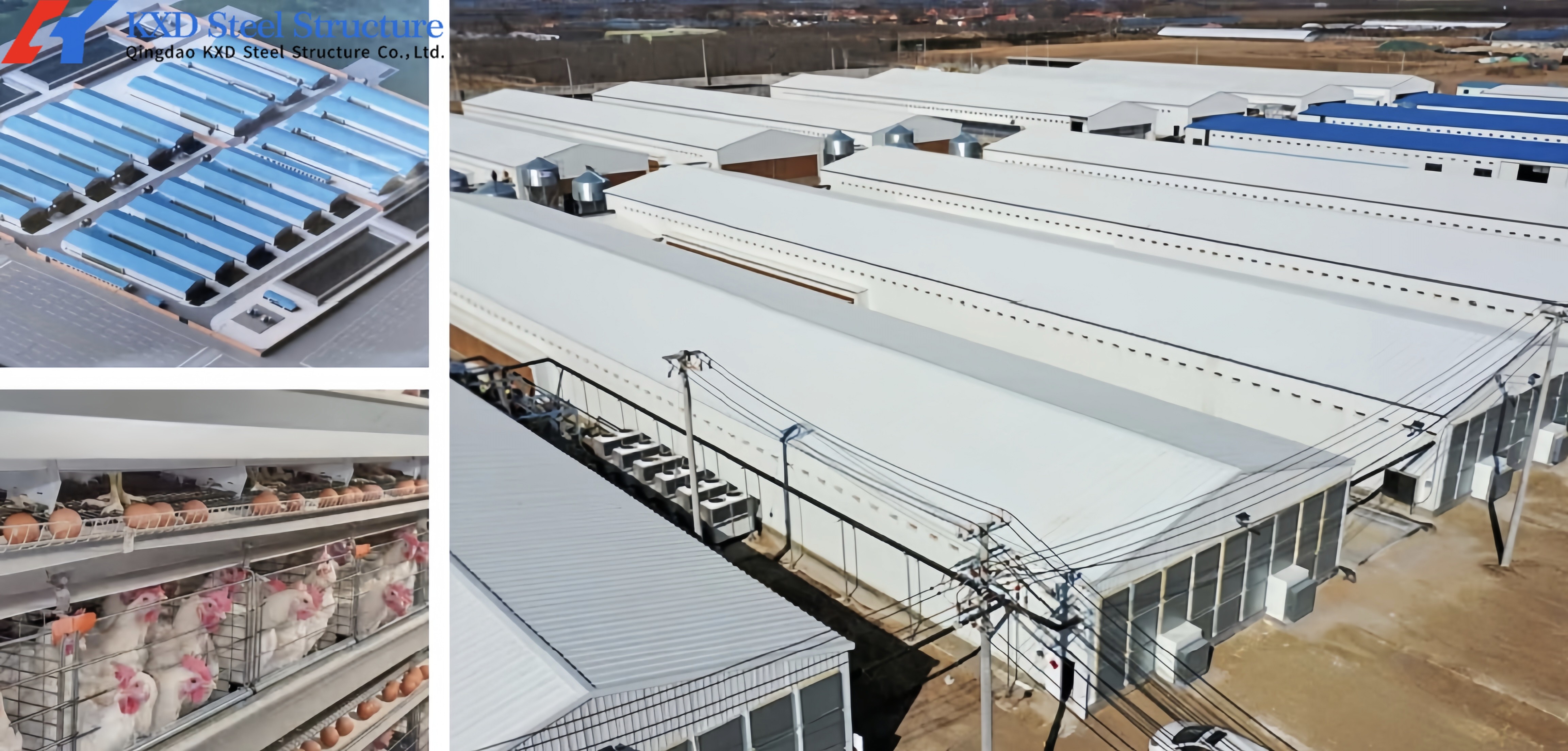Poultry Farm Chicken Feeding Line Automatic Poultry Pan Feeding System