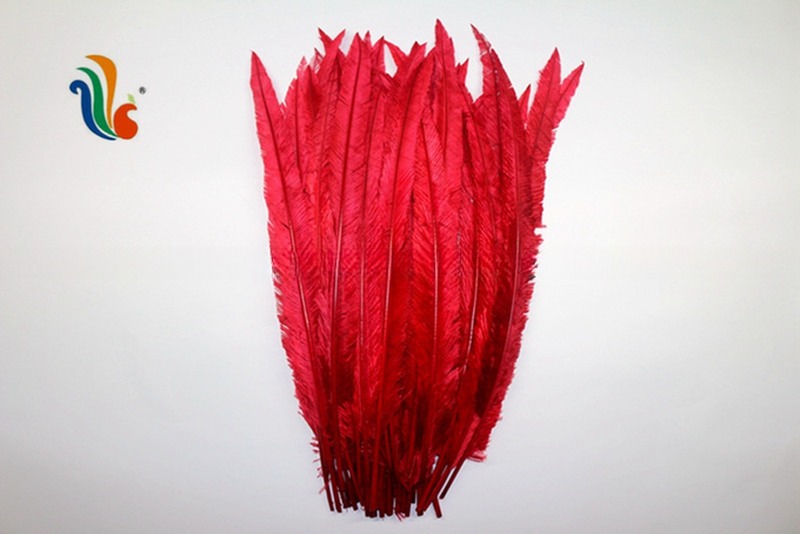 Party Decoration Nandu Plumes Feather Dyed Pattern for Worldwide Shipping