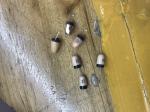 2015 new 618 earpiece