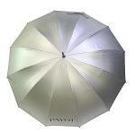 Diameter 105cm 12 Ribs Auto Open Umbrella With UV Coating
