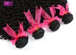 Brazilian Kinky Curly Virgin Hair , Brazilian Virgin Hair Extensions 4*4 Lace
