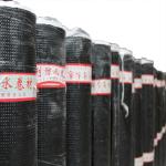 3mm SBS APP Modified Bituminous Waterproofing Membrane Contemporary