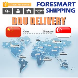 Quality Repacking Warehousing DDU Shipping , Shipping From China To Singapore wholesale