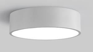 Quality SMD 5730 LED Ceiling Lamp ,Kitchen / Bathroom Led Ceiling Lights 2700K / 6400K wholesale