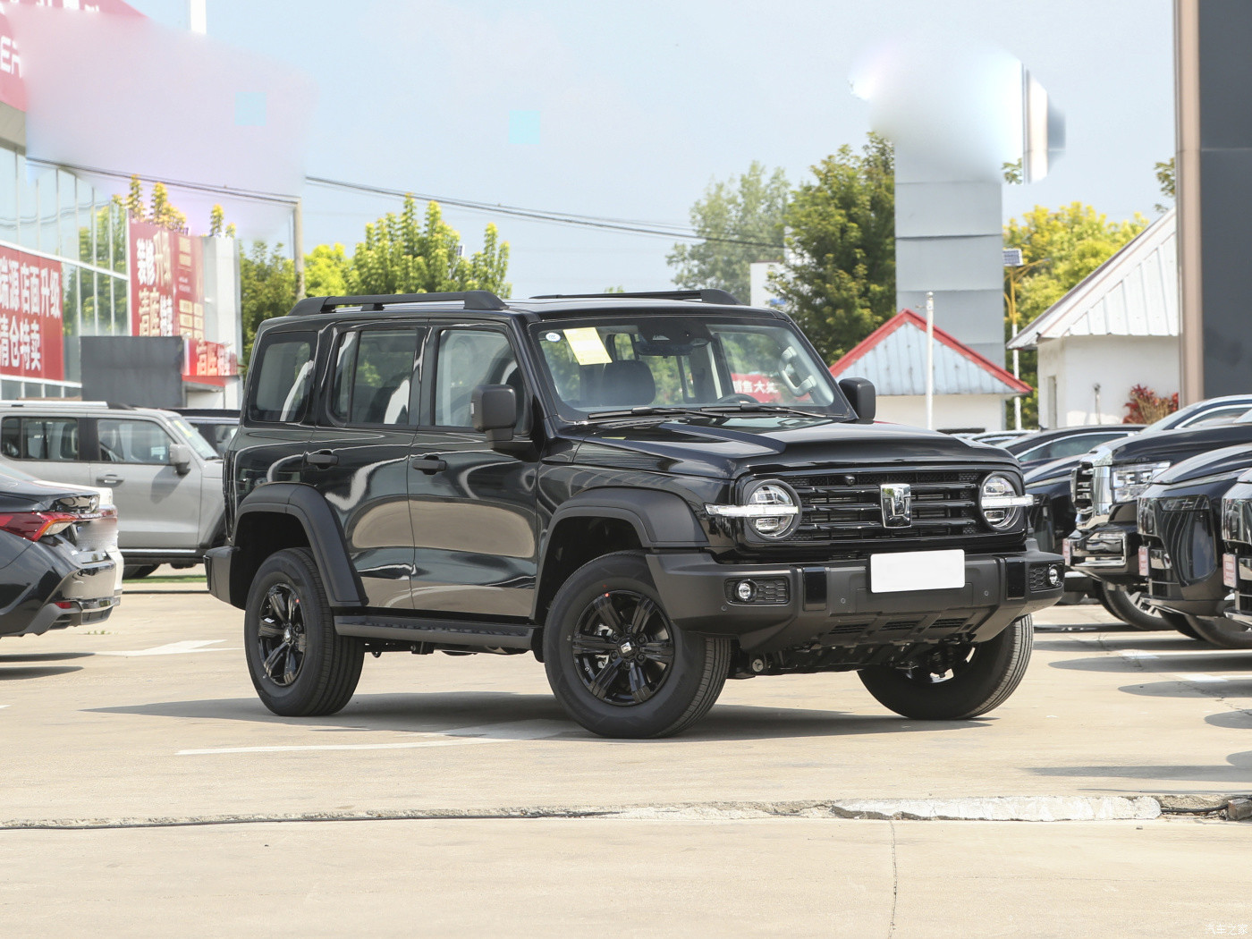 Tank 300 2024 Gasoline Fuel Tank SUV Car 4WD Model 2.0T Conqueror Black SUV