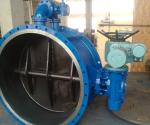 Gear Operated Flanged Butterfly Valve 1000mm for Hydropower