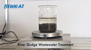 Quality BV Anionic Polyacrylamide Flocculant River Sludge Wastewater Treatment Sludge Thickening wholesale