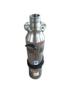Quality 75KW Sewage Pumps For Industry Abrasion-Resistant wholesale