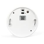 Wireless hidden camera smoke detector