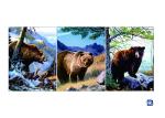 PET / PP Animal Print Lenticular Posters For Home Decoration SGS