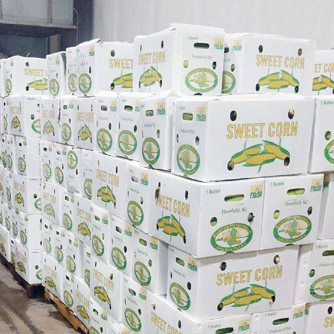 Corruone Hot Sale Customized waterproof foldable PP polypropylene sheet Material Vegetable Fruit Packaging and delivery Boxes