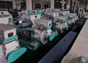 Quality Biomass Wood Fuel Pellet Making Machine wholesale