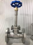 Stainless Steel Flanged Cryogenic Globe Valve SS304/SS316 For LNG/LOX/LN2/LAR