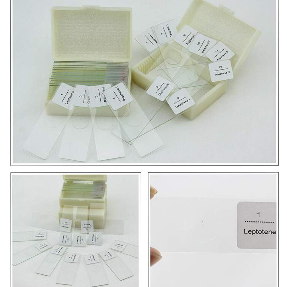 10pcs Mixed Glass Microscope Slides Medical Education Use For Children Study