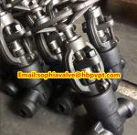 ANSI A105N forged gate valve