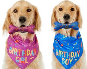 Quality Dog Birthday Stocked Occasion Bandana Bone Chew Toy Set Pet Custom Printed Bandanas wholesale