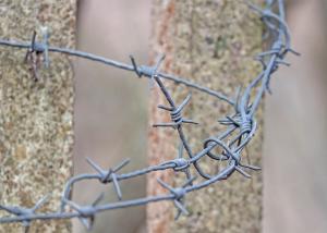 Quality Rust Resistance Double Twisted PVC Coated /Galvanized Barbed Wire Coils wholesale