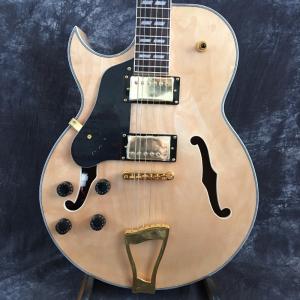 Quality China Hollow Body Jazz Electric Guitar wholesale