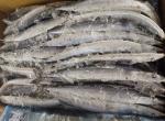 1# BQF Seafrozen Pacific Saury Fish With Bulk Packaging