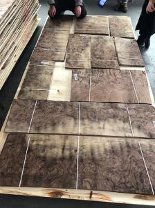 Quality 8% Moisture American Black Walnut Veneer wholesale