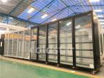 Commercial Fan Cooling -18~-22 Degree Freezer Commercial Movable Display Cabinet