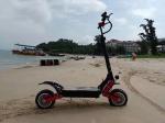 Big Wattage 11 Inch Lightweight Folding Electric Scooter Hydraulic Oil Brake