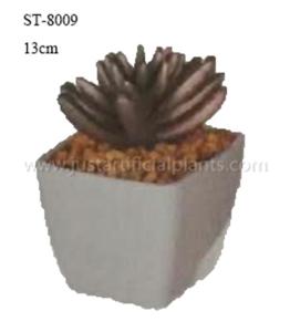 Quality Golden Artificial Succulent Flowers , Plastic Potted Mini Faux Succulents wholesale