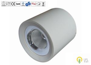 Quality 20W Dimmable LED Commercial Ceiling Lights For Shopping Malls 120lm/W wholesale
